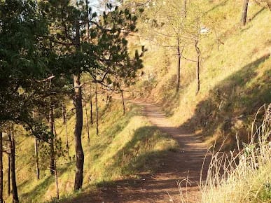 Gilbert Trail view 2